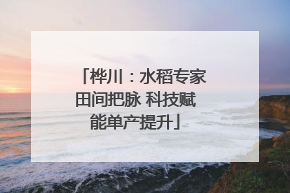 桦川：水稻专家田间把脉 科技赋能单产提升